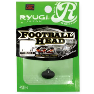 RYUGI-FHG2