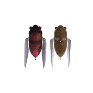 MGBS-TNSG