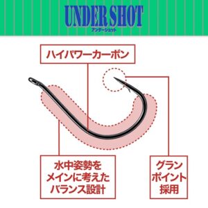 VRVS-US