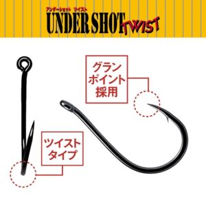 VRVS-USTW