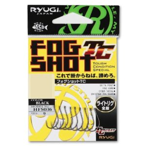 RYUGI-FSTC