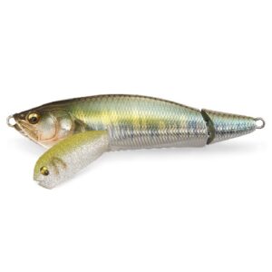 MGBS-IWINGTF