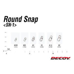 DCY-RDSNP