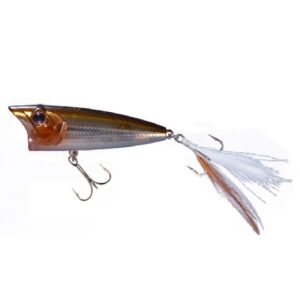 OSP-LUDR-60
