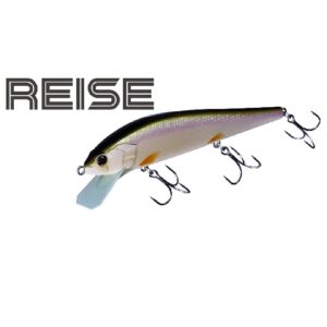 OSP-RAISE110HF