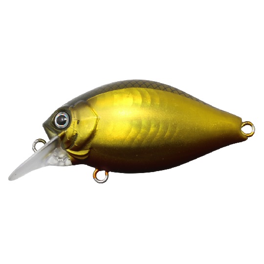 IS-GCSC40SRC