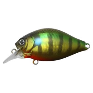 IS-GCSC40SRC