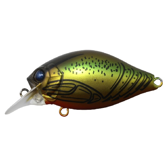 IS-GCSC40SRC