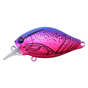 IS-GCSC40SRC