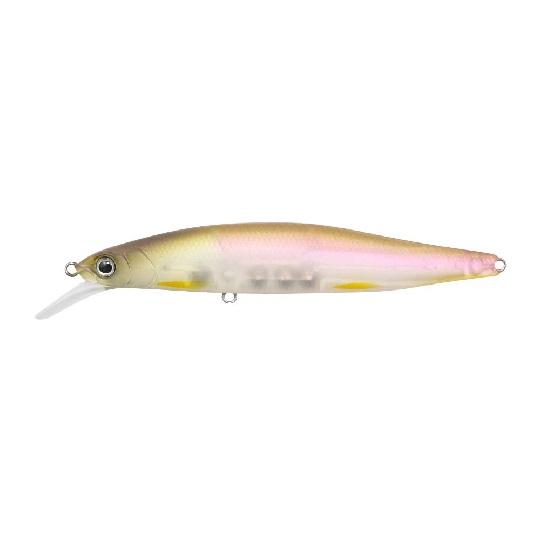 IS-GCMN89SR-SP