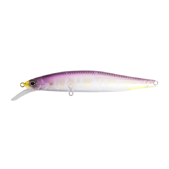 IS-GCMN89SR-SP