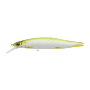 IS-GCMN89SR-SP