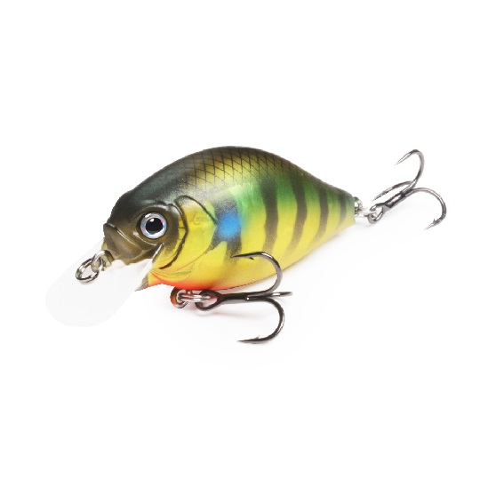 IS-GCSC40SRC