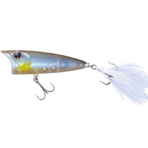 OSP-LUDR-50