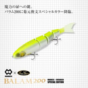 EG-BLM200-EGED