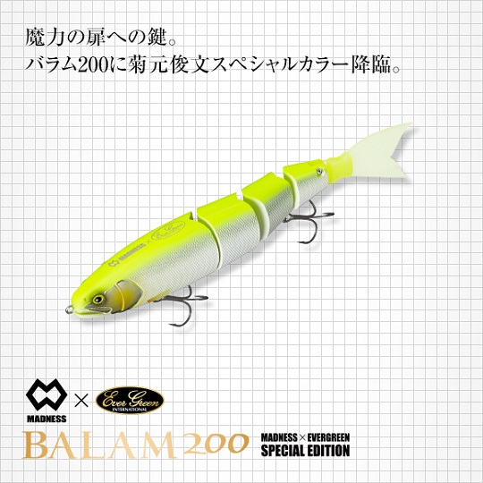 EG-BLM200-EGED